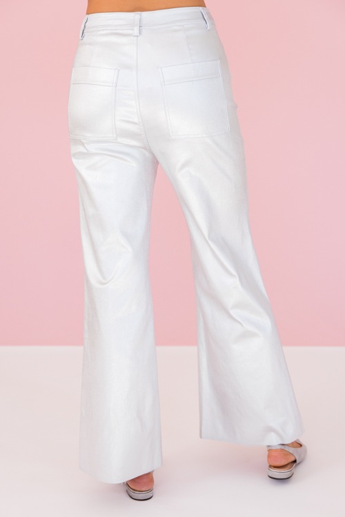 Metallic Silver Pants - 0110-24.jpg