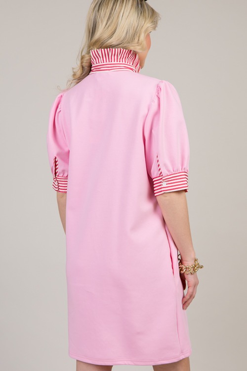 Benson Dress, Pink - 0124-37.jpg