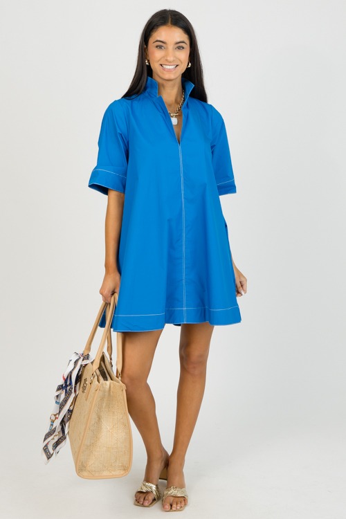 Cobalt Collared Dress - 0202-8.jpg