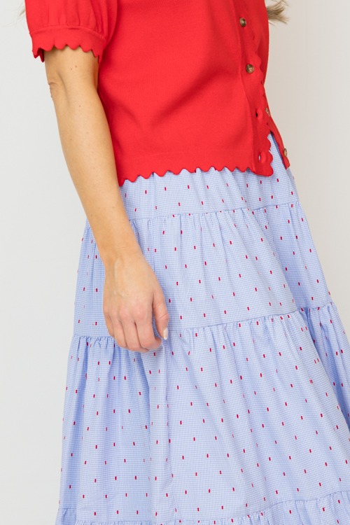 Gingham Dot Maxi Skirt - 0213-227h.jpg
