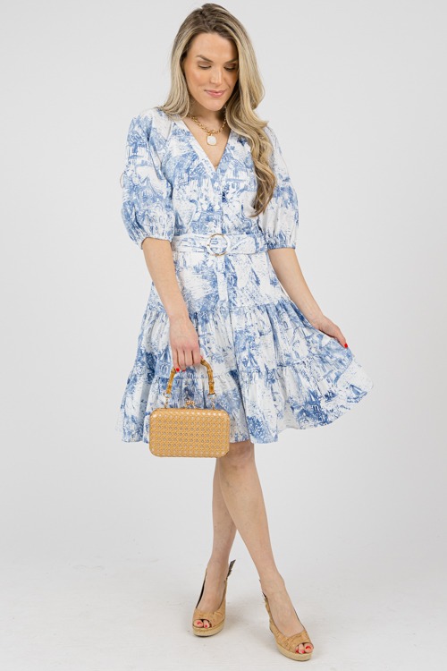 Toile Buckle Belt Dress - 0214-88.jpg