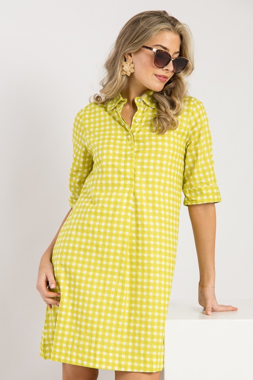 Charlotte Dress, Citron Check - 0221-150.jpg