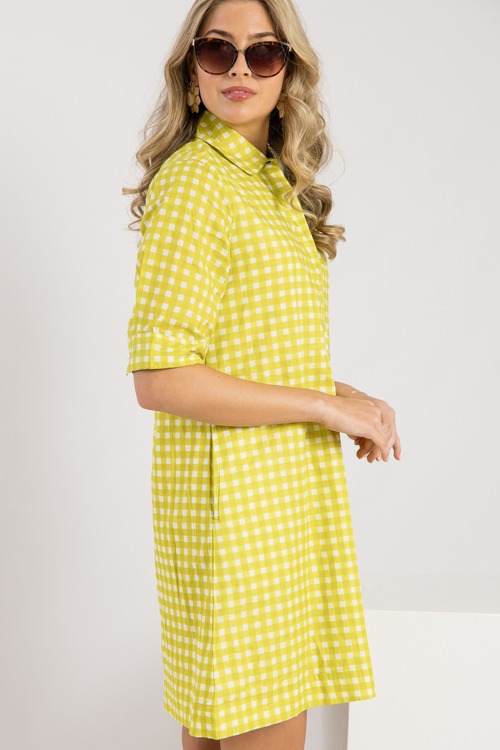 Charlotte Dress, Citron Check - 0221-154.jpg