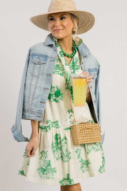 Green Toile Print Dress