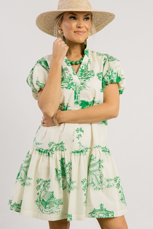 Green Toile Print Dress - 0228-260.jpg