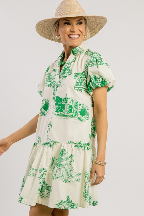 Green Toile Print Dress - 0228-261.jpg