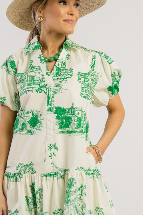 Green Toile Print Dress - 0228-263.jpg