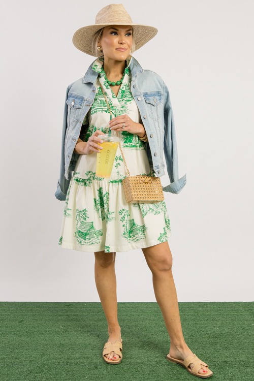 Green Toile Print Dress - 0228-264.jpg