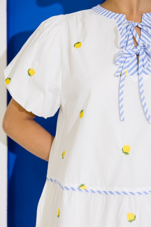 Lemon Embroidery Stripe Dress - 0616-274.jpg