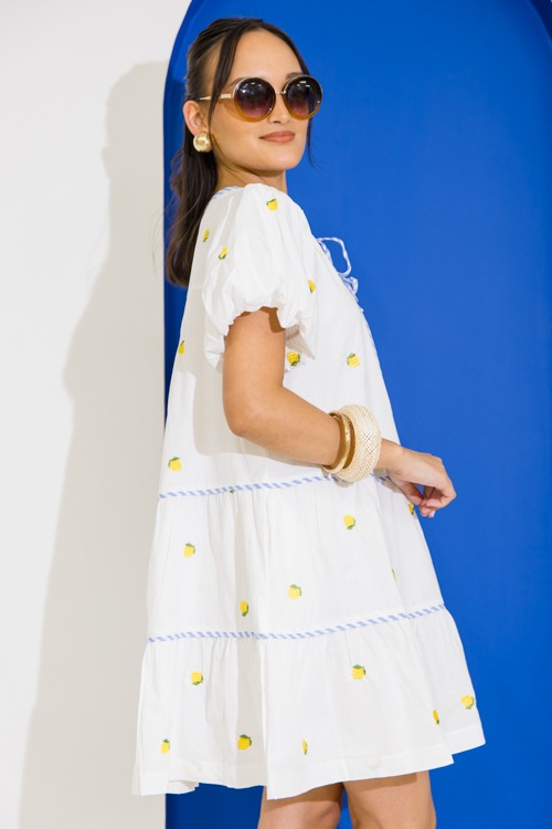 Lemon Embroidery Stripe Dress - 0616-275.jpg