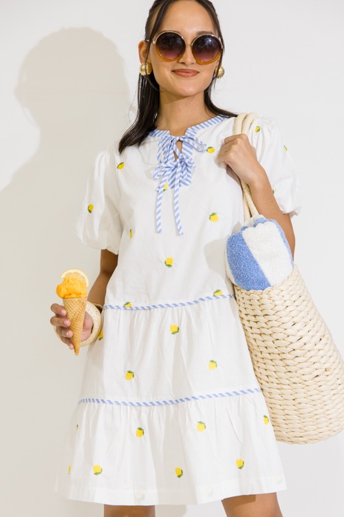 Lemon Embroidery Stripe Dress - 0616-277.jpg