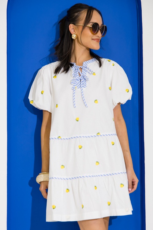 Lemon Embroidery Stripe Dress - 0616-279.jpg