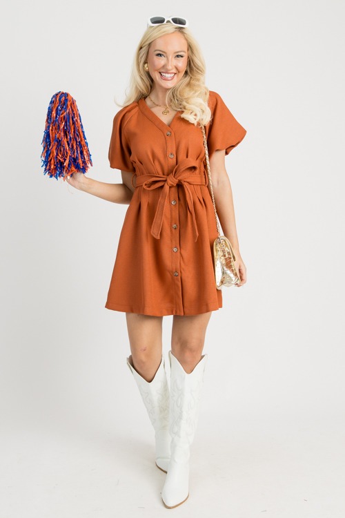 Belted Bronze Dress
