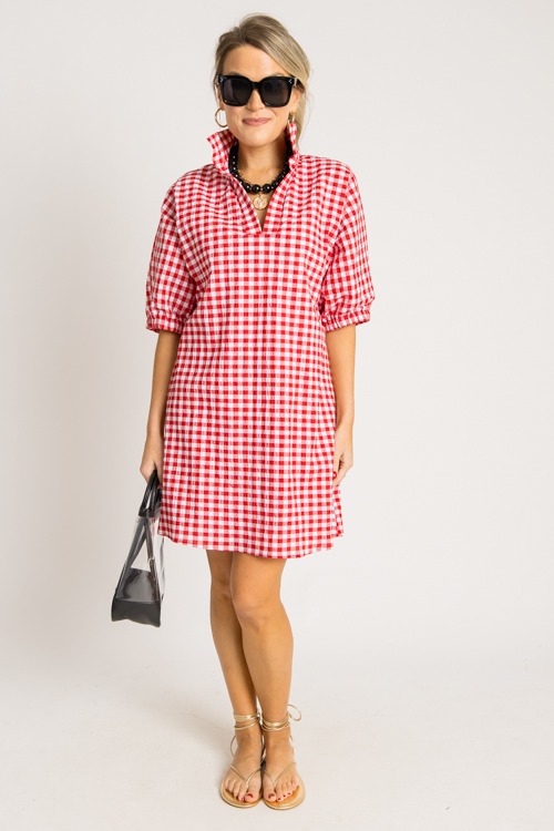 Charlotte Dress, Red Gingham - 0731-213p.jpg