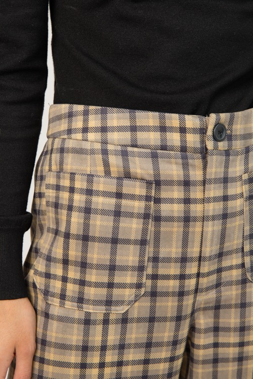Alicia Plaid Pants, Taupe - 1-093.jpg