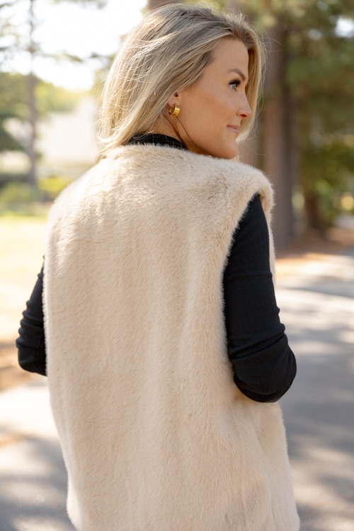Francine Fur Vest, Taupe - 1002-48.jpg