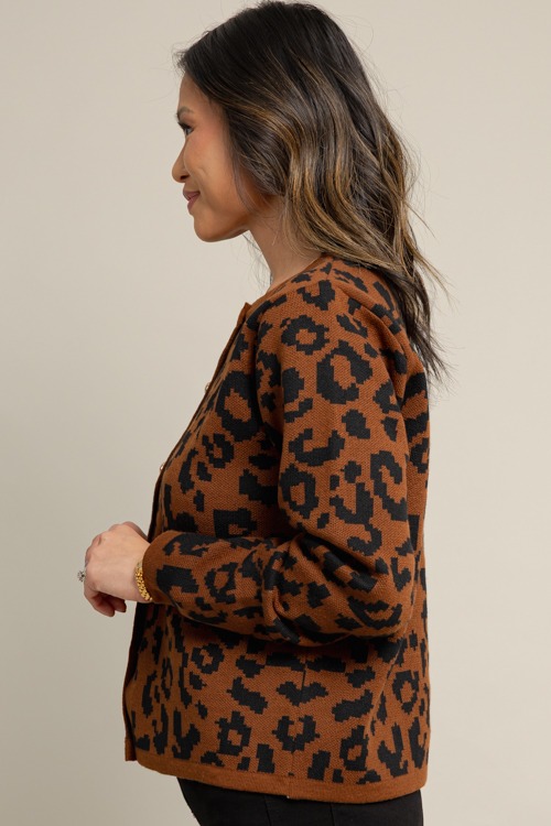Cheetah Button Sweater, Brown - 1009-135.jpg