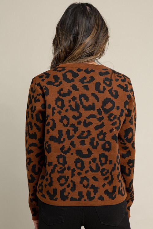 Cheetah Button Sweater, Brown - 1009-136.jpg