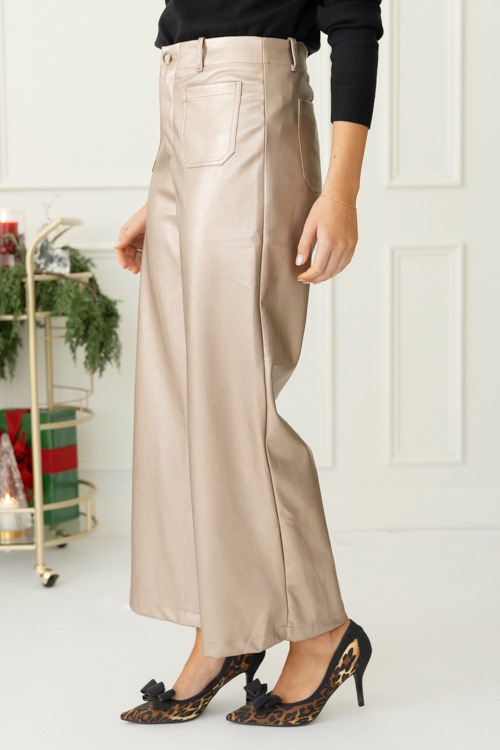 Faux Leather Pants, Metallic Taupe - 1107-84.jpg