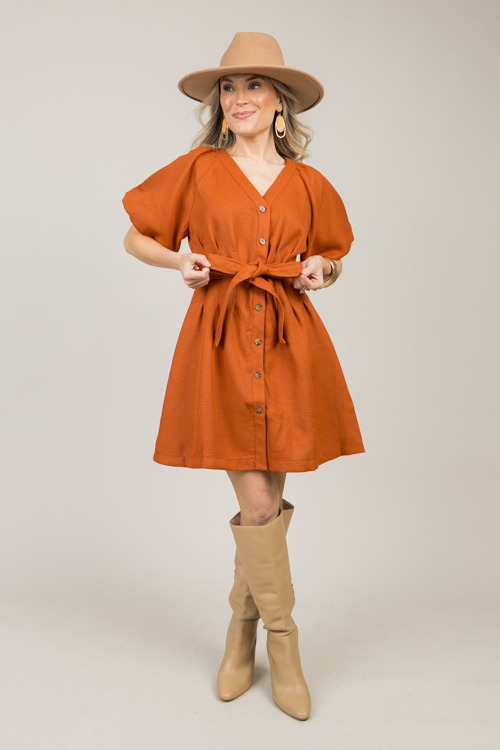 Belted Bronze Dress - 1111-82p.jpg