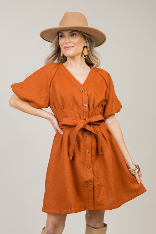 Belted Bronze Dress - 1111-83h.jpg