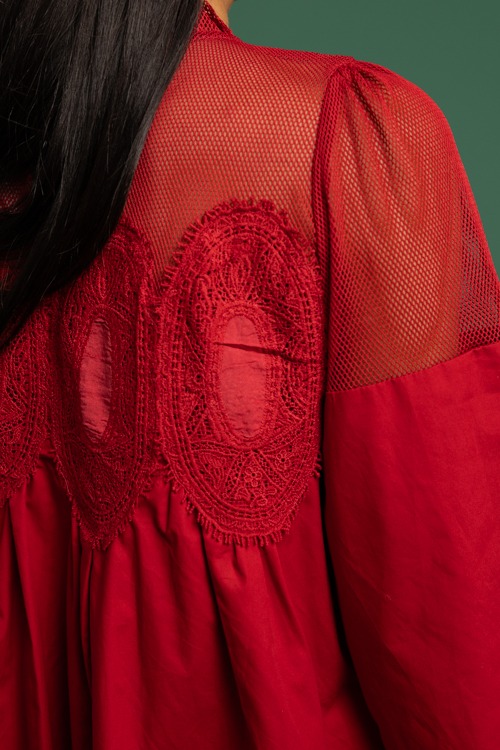Lace Mesh Panel Dress, Burgundy - 1118-236.jpg