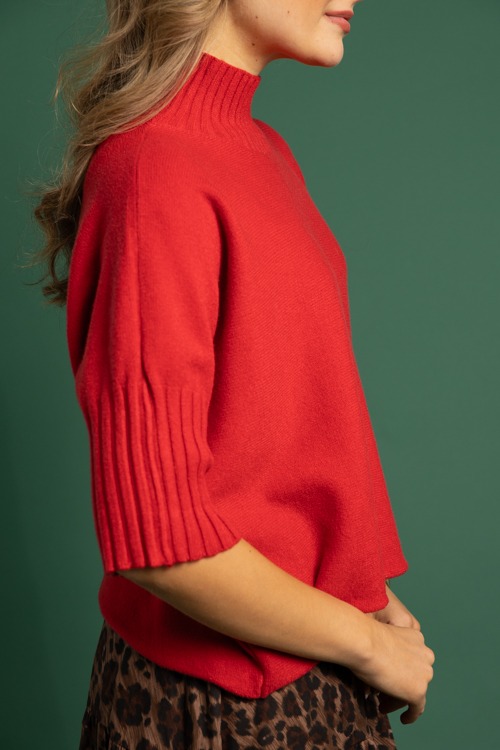 Taylor Sweater, Red/Crimson - 1118-324.jpg