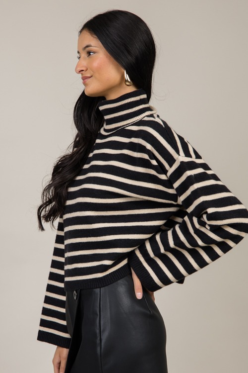 Micah Stripe Turtleneck, Black - 1121-197.jpg