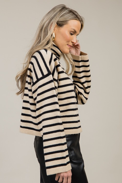 Micah Stripe Turtleneck, Taupe - 1121-36.jpg