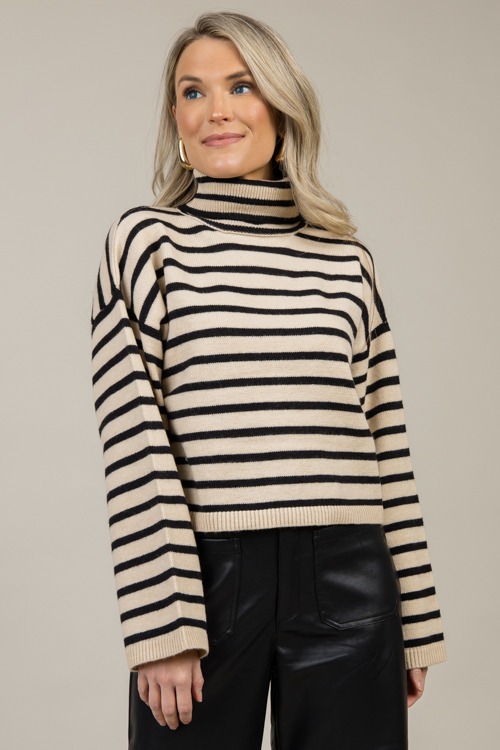 Micah Stripe Turtleneck, Taupe - 1121-39.jpg