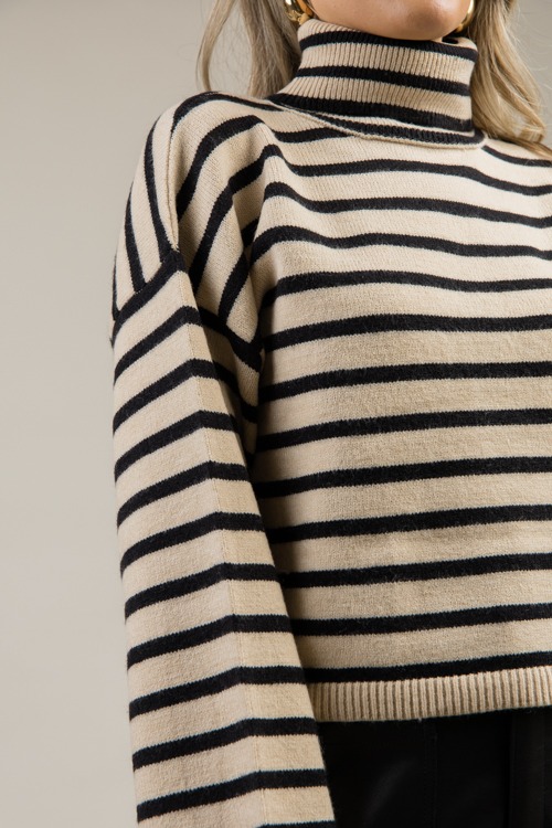 Micah Stripe Turtleneck, Taupe - 1121-40.jpg