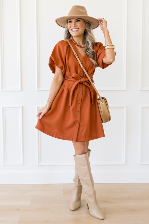 Belted Bronze Dress - 1125-23h.jpg