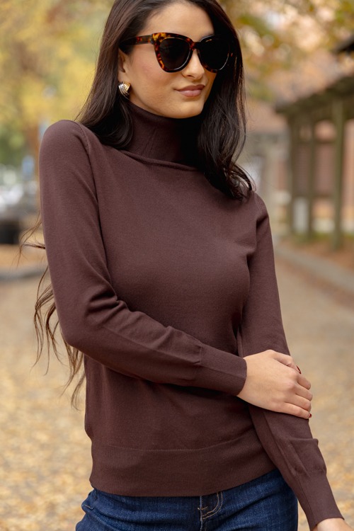 Simple Turtleneck, Brown - 1205-12p.jpg
