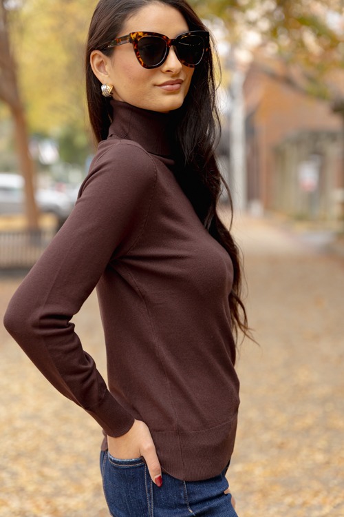 Simple Turtleneck, Brown - 1205-13h.jpg