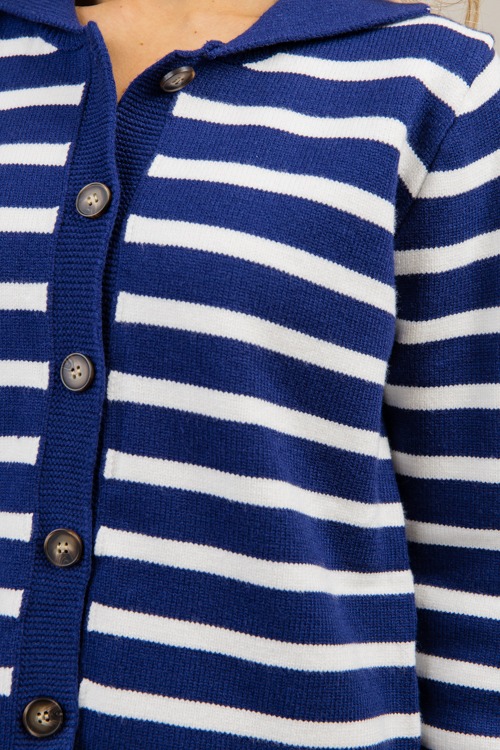 Collared Button Sweater, Navy Stripe - 1210-45h.jpg