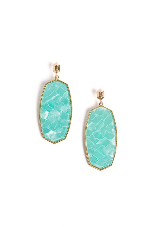 Hexagon Acrylic Earring