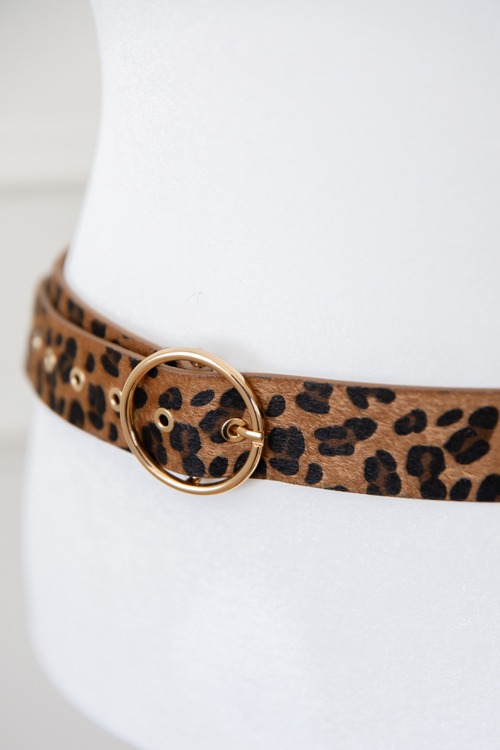 Spot On Belt, Leopard - 4K7A1668.jpg