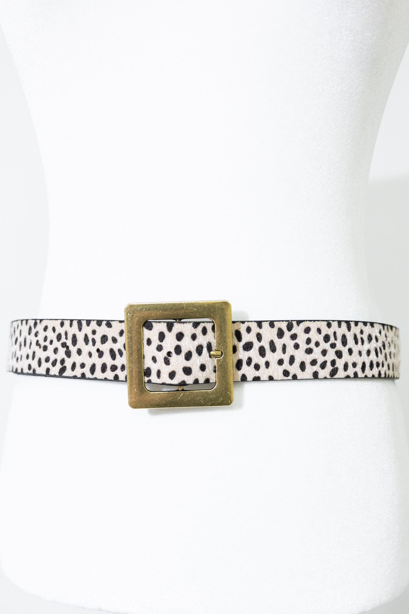 Classic Buckle Belt, Cheetah - 4K7A7419.jpg