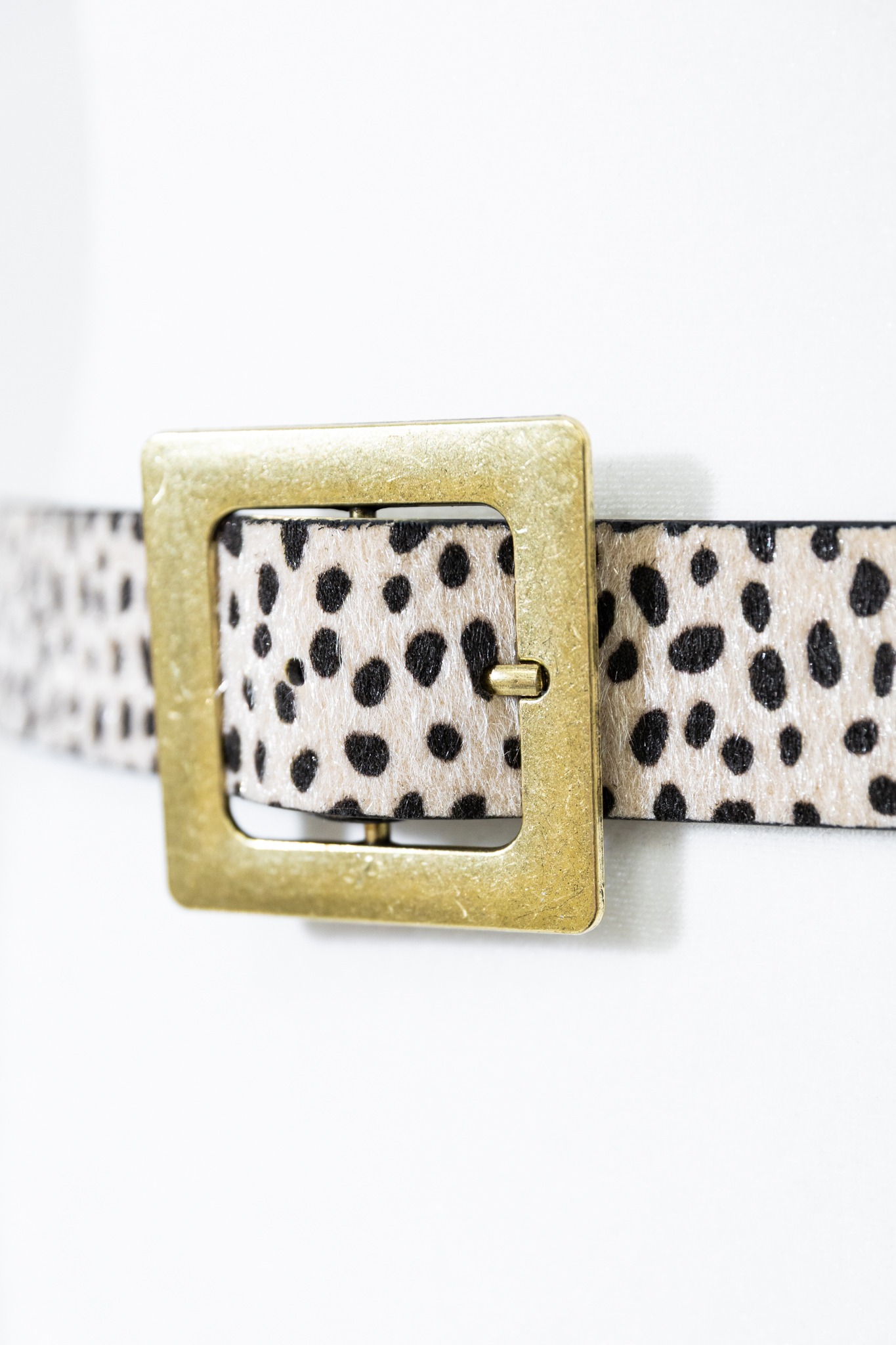 Classic Buckle Belt, Cheetah