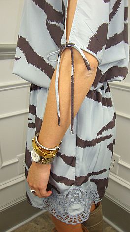 Zesty Zebra Dress
