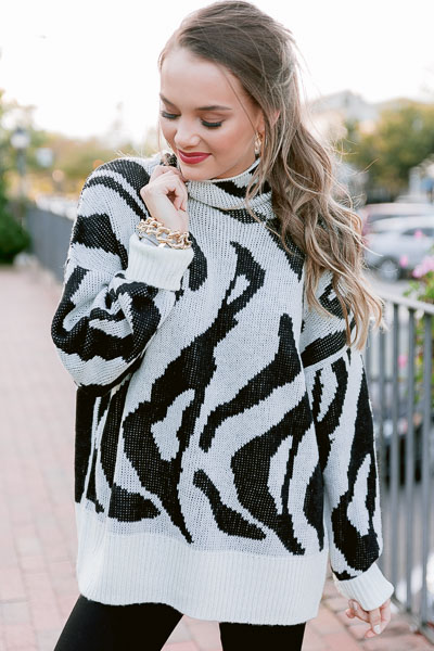 Zoe Zebra Sweater