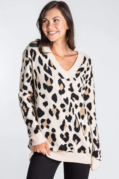 V Neck Leopard Sweater