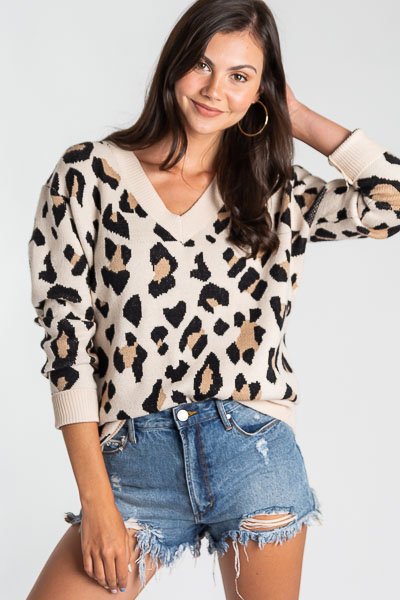 V Neck Leopard Sweater