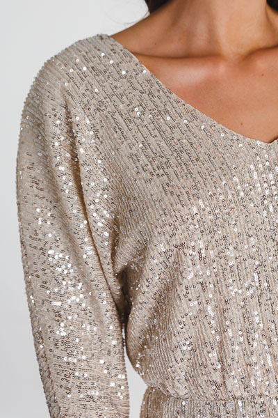 Silver Sequin Shine Dress