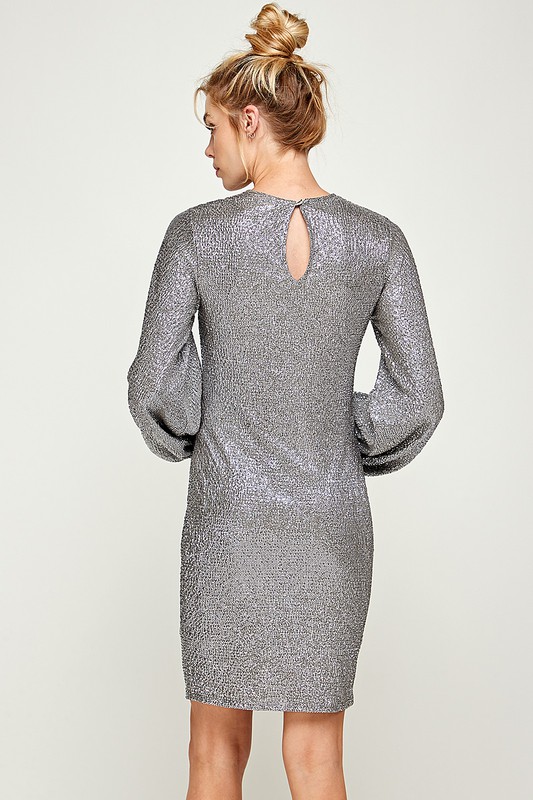 Mallony Silver Dress