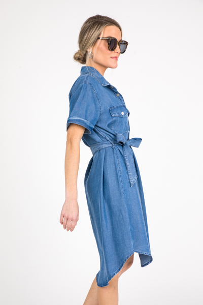 Belted Chambray Snaps Dress