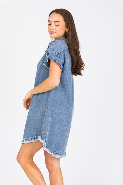 Pamela Denim Button Dress