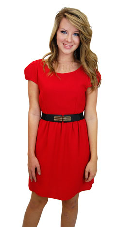 Holiday Chic Dress